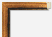 Custom Frame CFS1365-20
