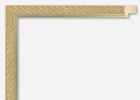 Custom Frame CFS1700-45x