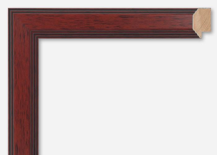Custom Frame CFS300-610
