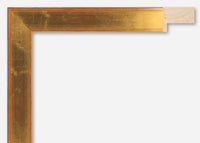 Custom Frame CFS305-945