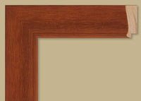 Custom Frame CFS305-985