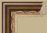 Custom Frame CFS495-20