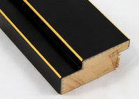Custom Frame CFS800-370