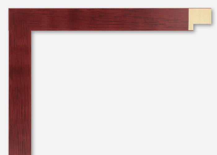 Custom Frame CFS800-405