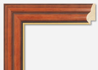 Custom Frame CFS860-40