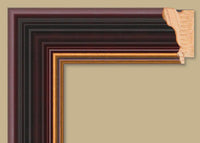 Custom Frame CFS870-25