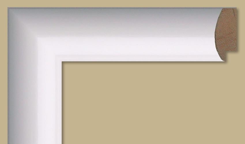 Custom Frame CFS880-20