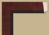 Custom Frame CFS895-70
