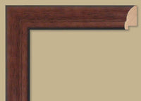 Custom Frame CFS895-80
