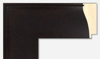 Custom Frame CFSYBR4425