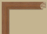 Custom Frame CFSCN442