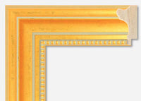 Custom Frame CFSYH263