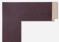 Custom Frame CFSYI206