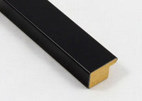 Custom Frame CFSKC669