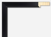 Custom Frame CFSYN4610
