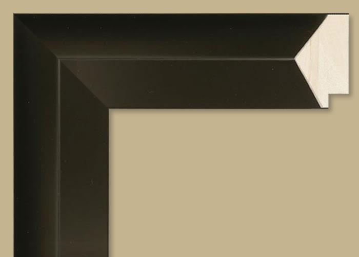 Custom Frame CFSYN530