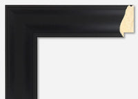 Custom Frame CFSYNB3610