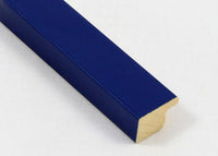 Custom Frame CFSNC189