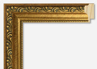 Custom Frame CFSNC216