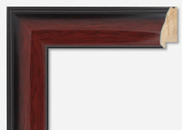 Custom Frame CFSNC217