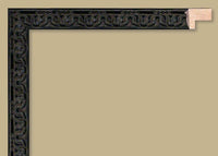 Custom Frame CFSNC241x