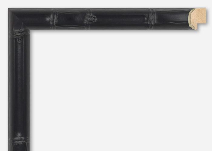 Custom Frame CFSNC247