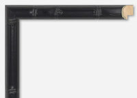 Custom Frame CFSNC247
