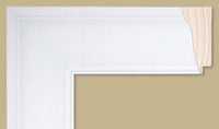Custom Frame CFSNC248