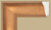 Custom Frame CFSNC282