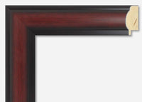 Custom Frame CFSNC286