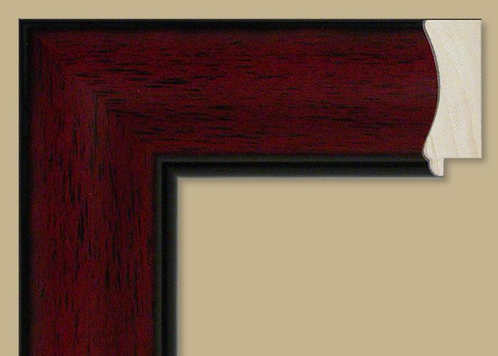 Custom Frame CFSNC290