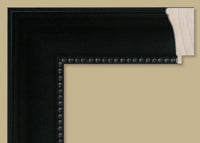 Custom Frame CFSNC905