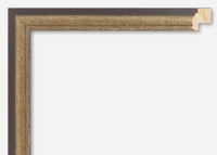 Custom Frame CFSNC906