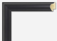 Custom Frame CFSNC917