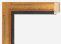 Custom Frame CFSNC929