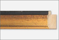 Custom Frame CFSNC929