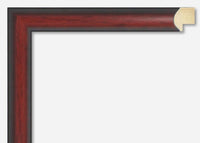 Custom Frame CFSNC931
