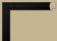 Custom Frame CFSNC936