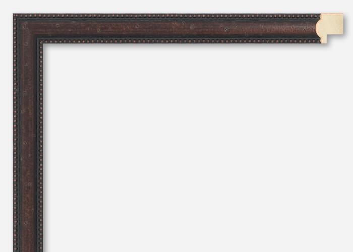 Custom Frame CFSNC941x