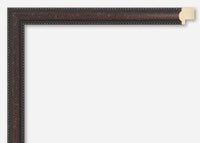 Custom Frame CFSNC941x