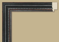 Custom Frame CFSNC966