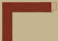 Custom Frame CFSYR2115