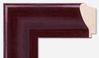 Custom Frame CFSYS2306