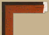 Custom Frame CFSW52461